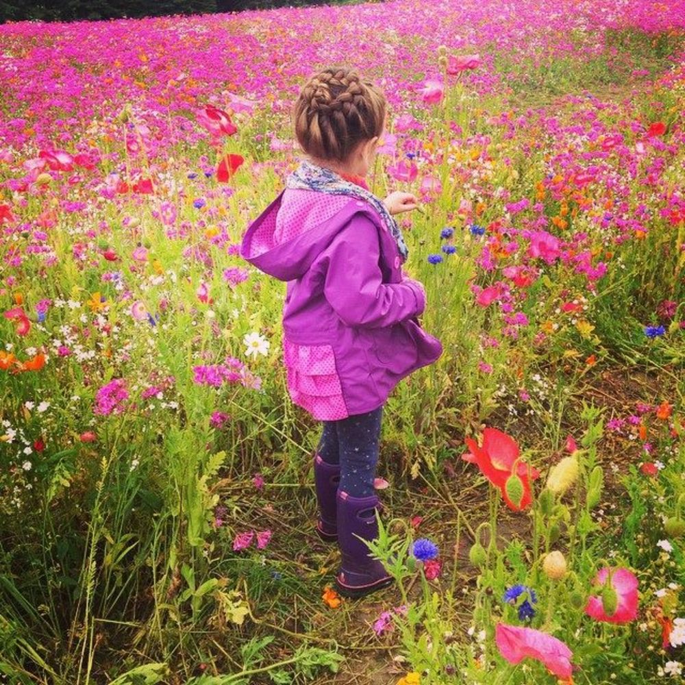 Meet your Posher, Missy